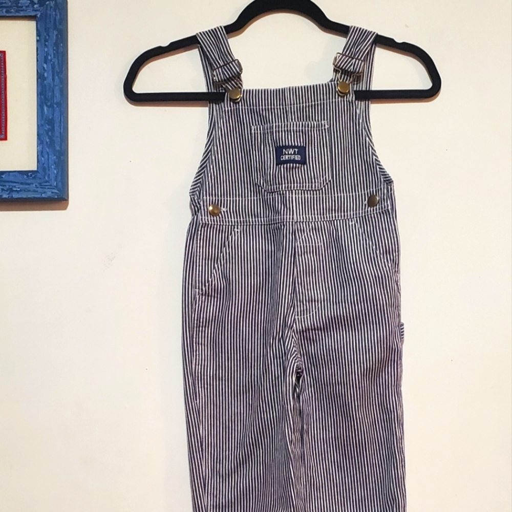 Dark Muted Blue and White Striped Overalls